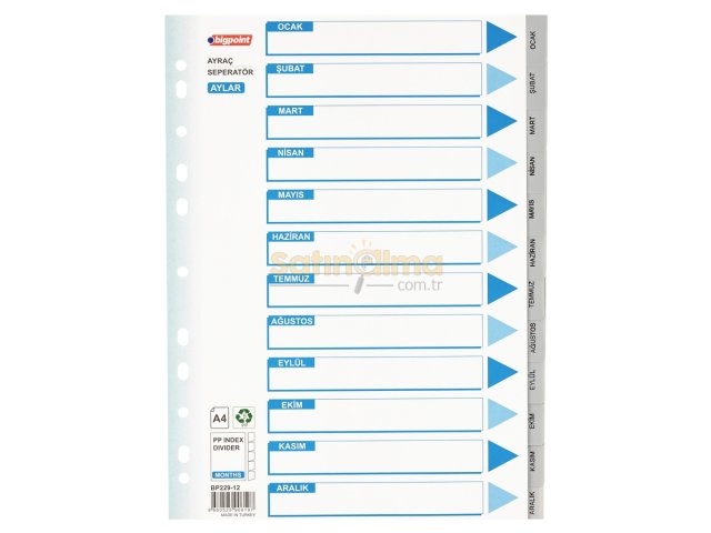 BİGPOİNT PP SEPERATÖR AYLAR X 25 ADET