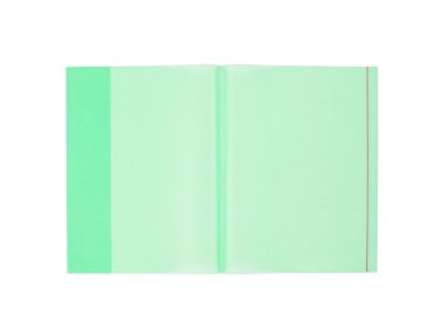 BİGPOİNT A4 HAZIR DEFTER KABI 10LU PAKET YEŞİL X 25 PAKET