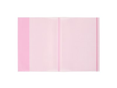 BİGPOİNT A4 HAZIR DEFTER KABI 5Lİ PAKET ŞEFFAF KIRMIZI X 20 PAKET