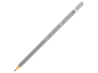 BİGPOİNT DERECELİ KALEM 2B X 12 ADET