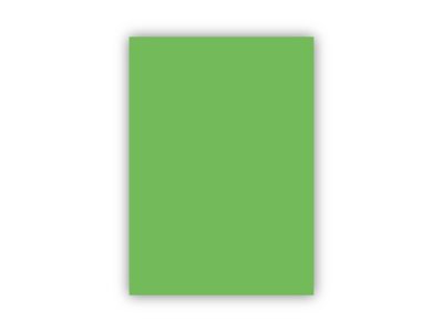 BİGPOİNT FON KARTONU 50X70CM 120 GRAM AÇIK YEŞİL X 100 ADET