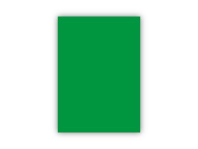 BİGPOİNT FON KARTONU 50X70CM 160 GRAM KOYU YEŞİL X 100 ADET