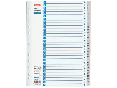 BİGPOİNT PP SEPERATÖR 1-31 RAKAMLI X 10 ADET