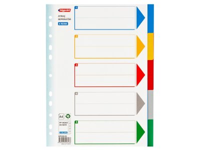 BİGPOİNT PP SEPERATÖR 5 RENKLİ X 50 ADET