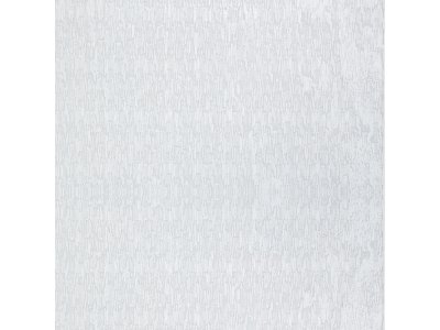 BİGPOİNT STATİK CAM FOLYO 2M BUZLU NO:S11 X 12 RULO